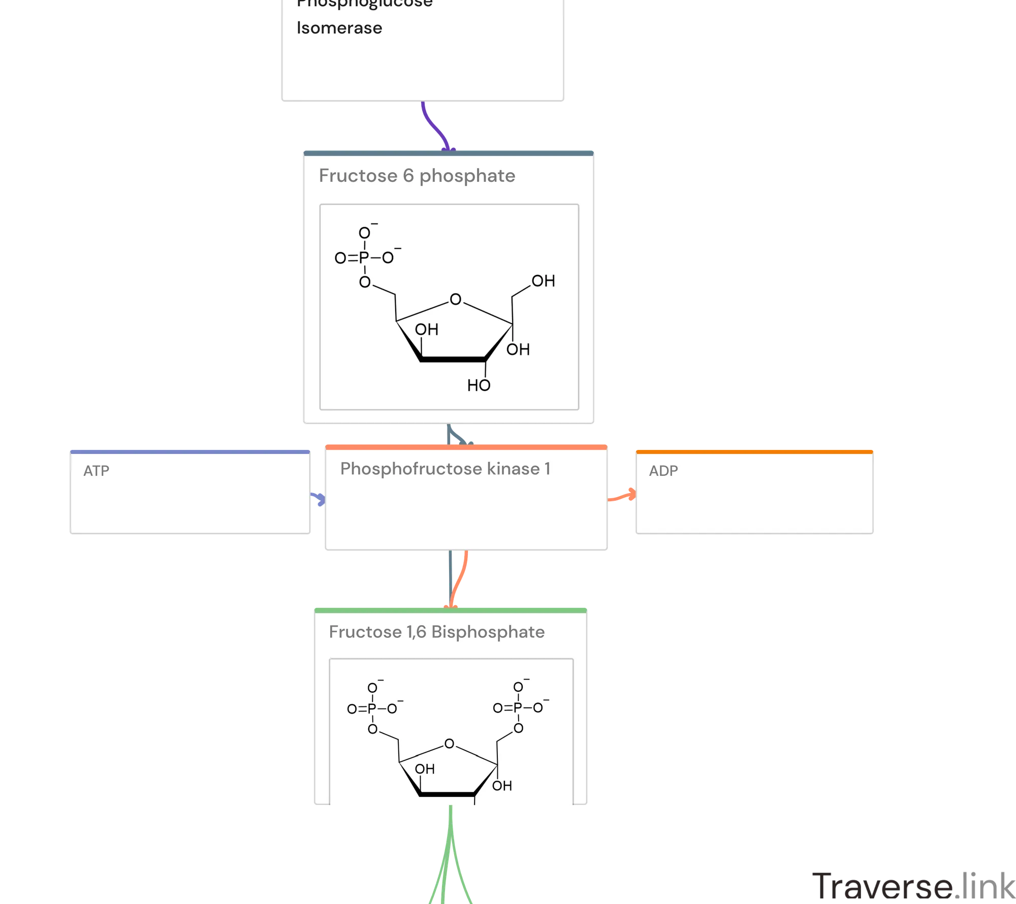 Glycolysis pathway Step 3: Phosphoglucose Isomerase