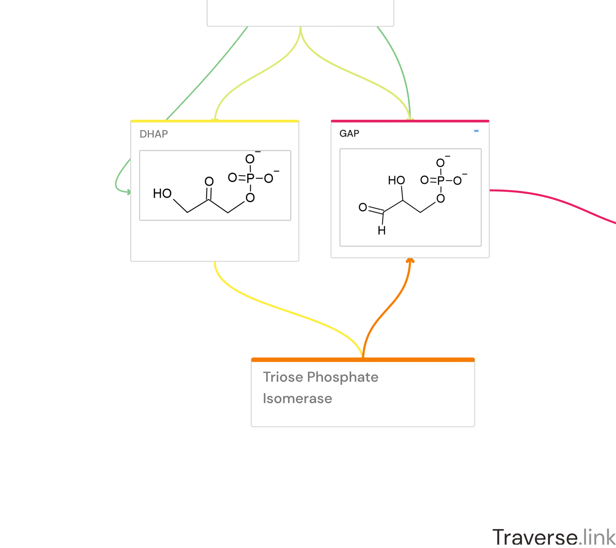 Glycolysis pathway Step 5: Triosephosphate Isomerase