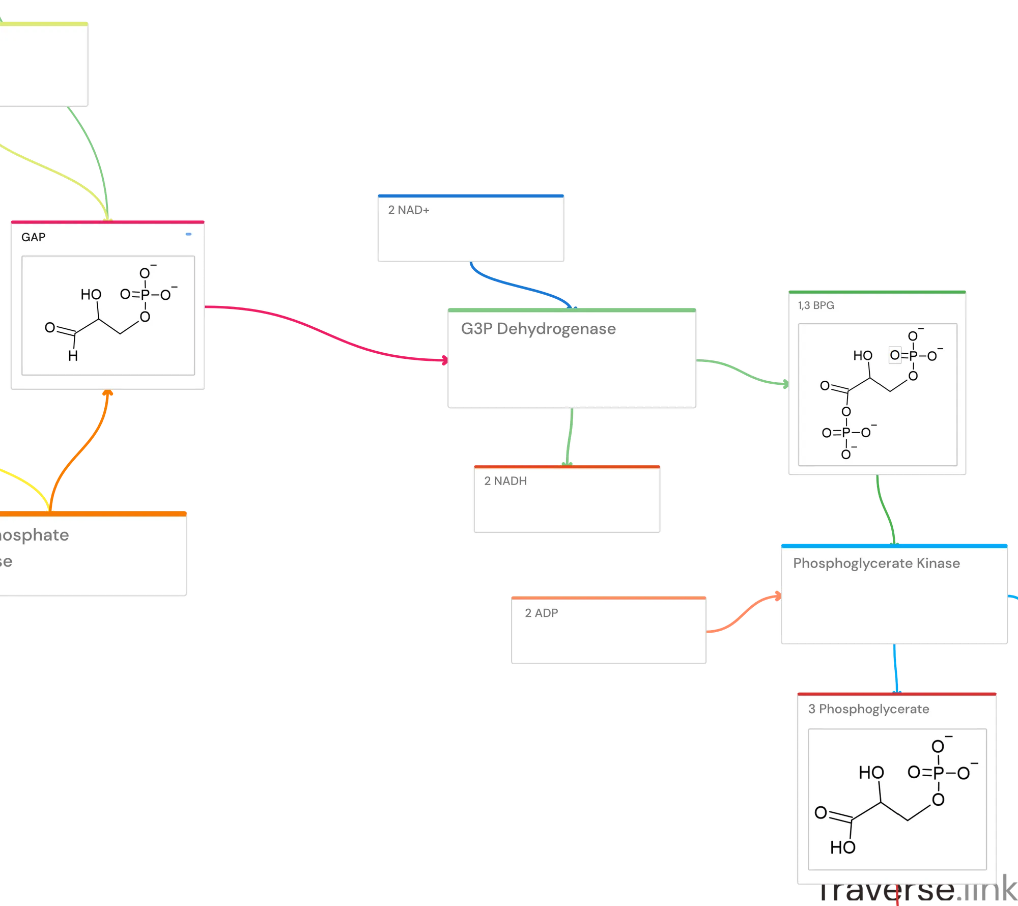 Glycolysis pathway Step 6: Glyceraldehyde-3-phosphate Dehydrogenase
