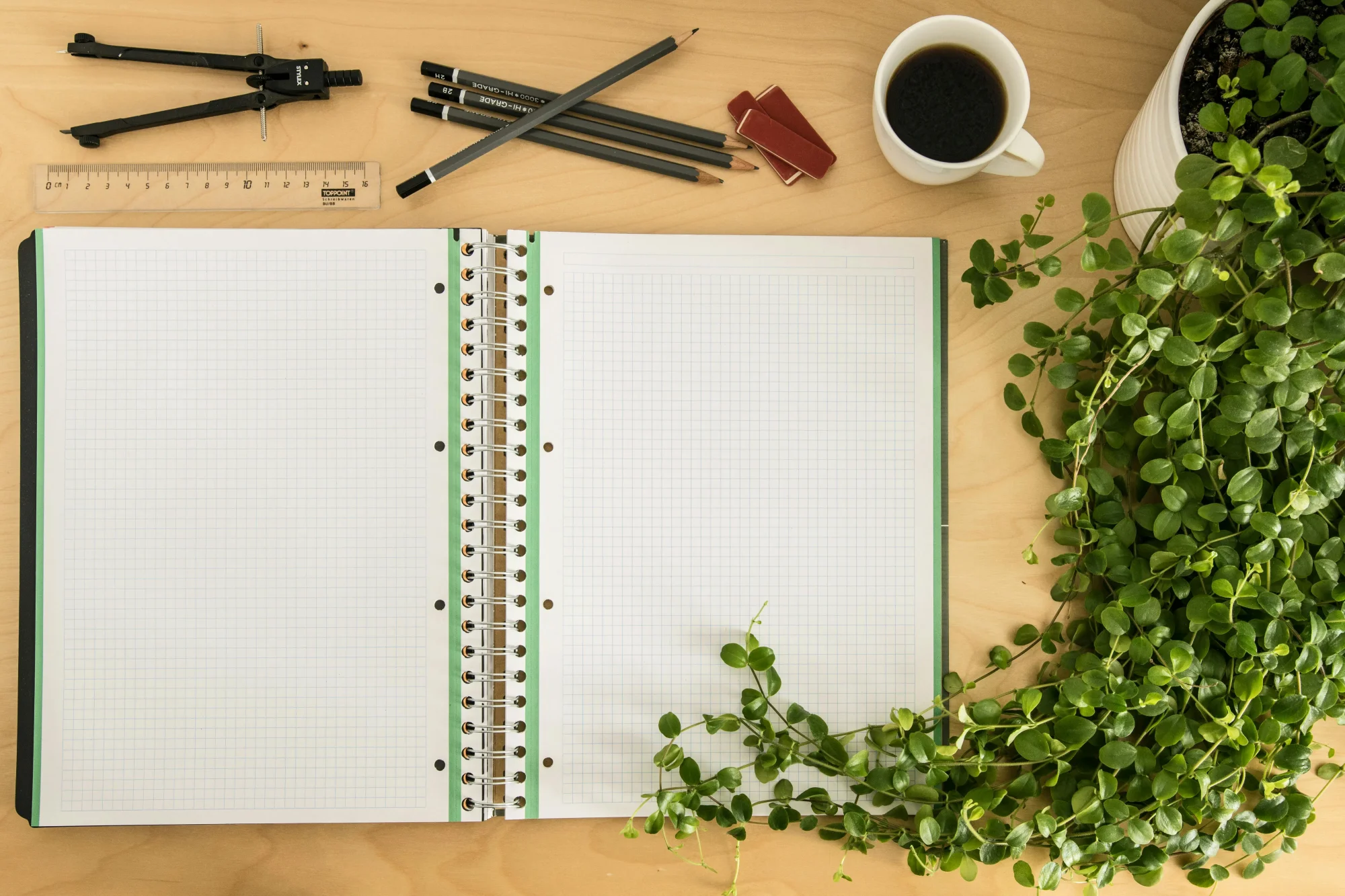 Mastering Anki: The Ultimate Guide to Boost Your Studying