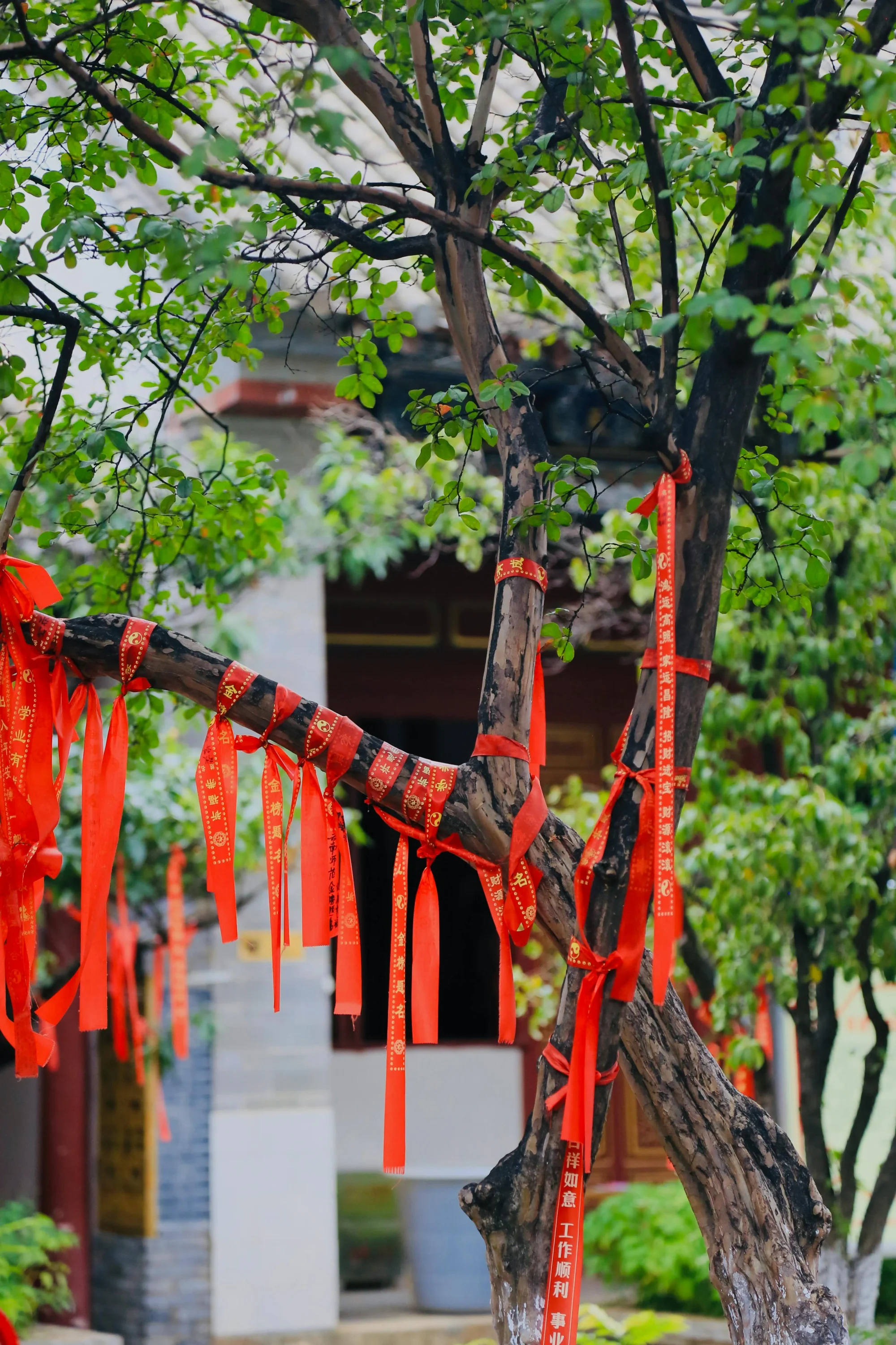Mastering the Art of Chinese Finals: Unlock Fluent Pronunciation