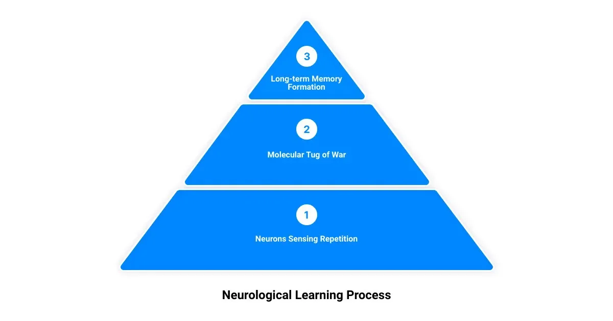 Mastering the Art of Recollection: Unveiling the Secrets to Enhanced Memory Retention