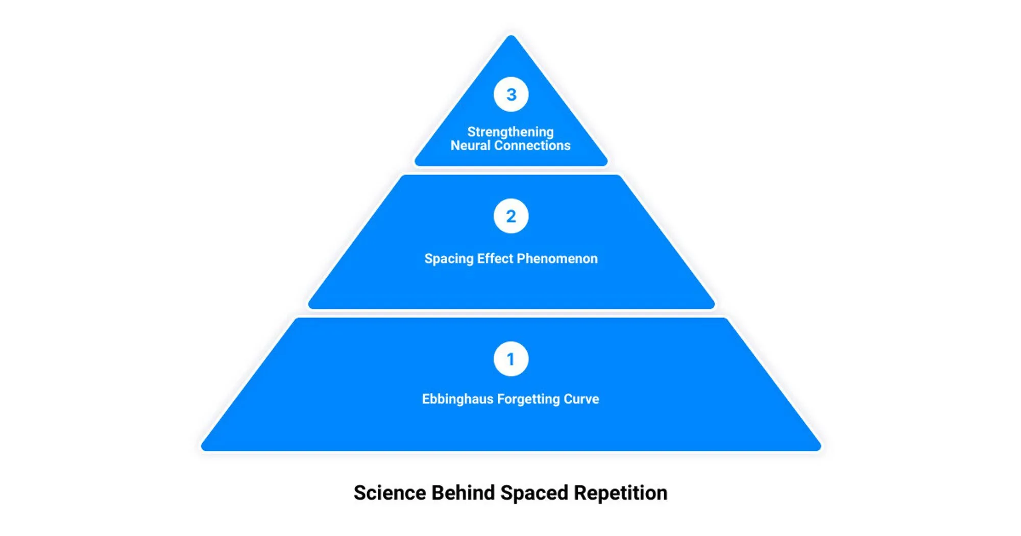 Unlock Your Memory Potential: Mastering the Spaced Repetition Schedule